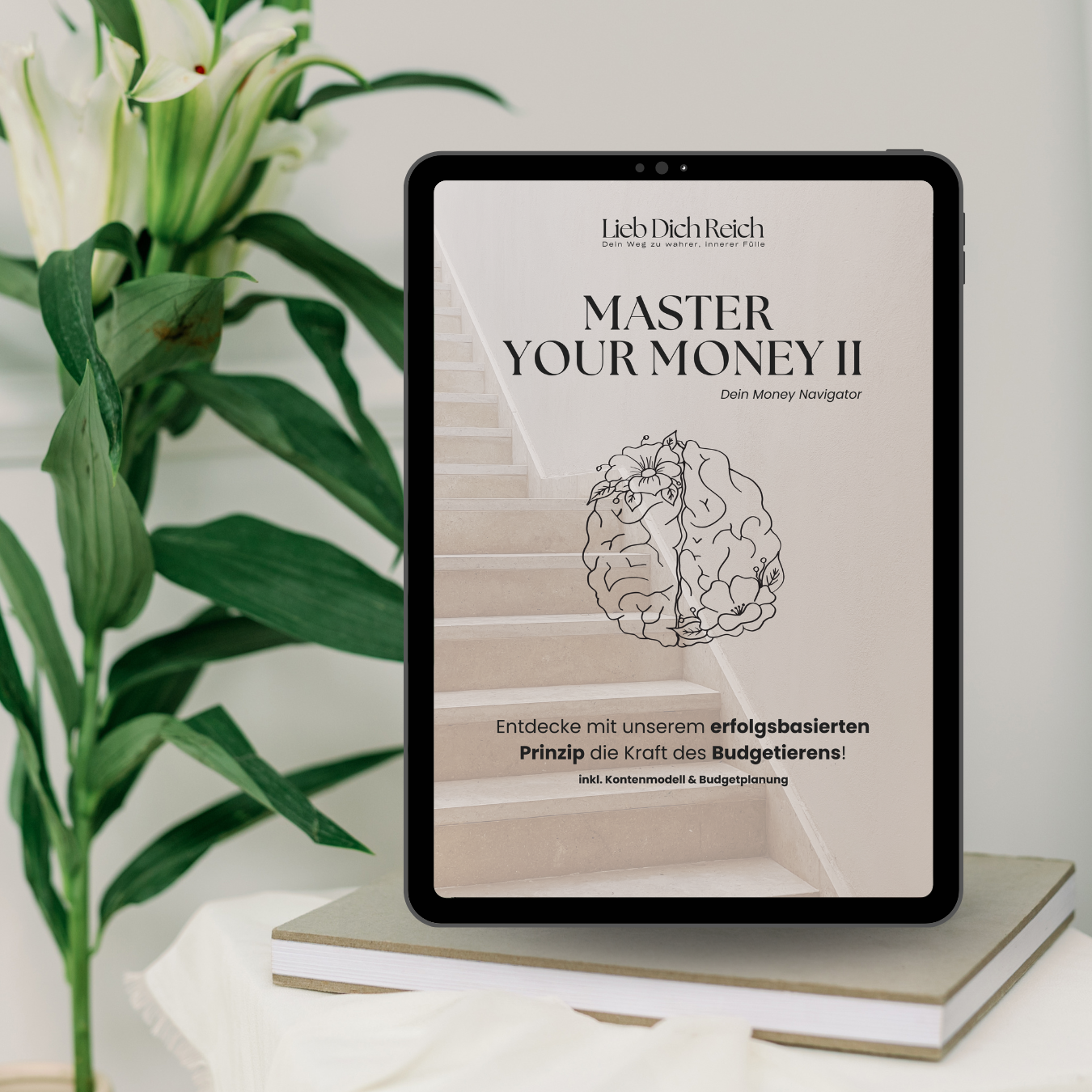 Master Your Money Part II - Dein Money Navigator